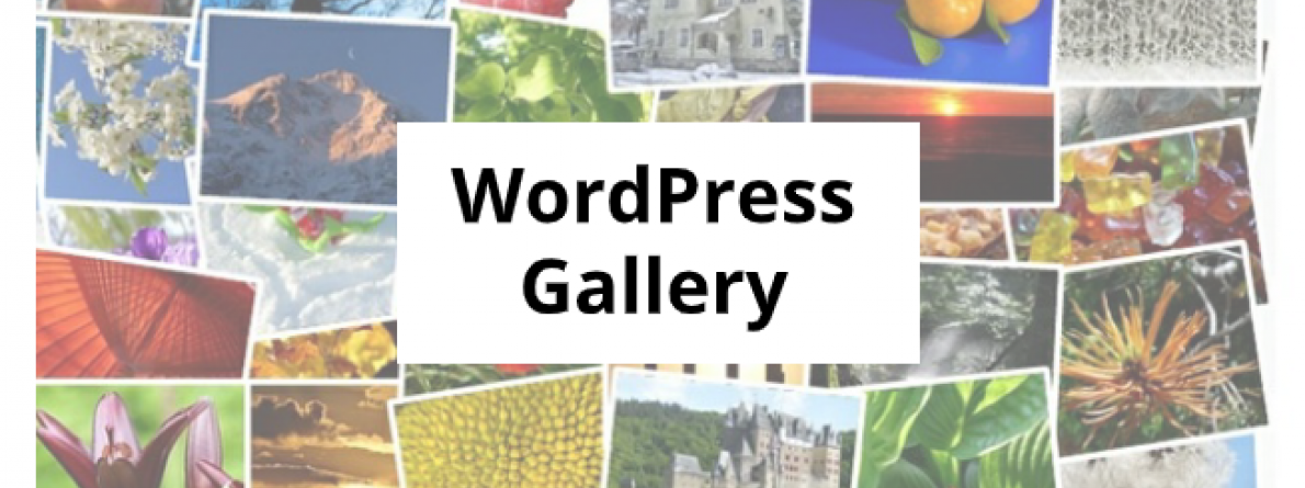 WordPress Gallery